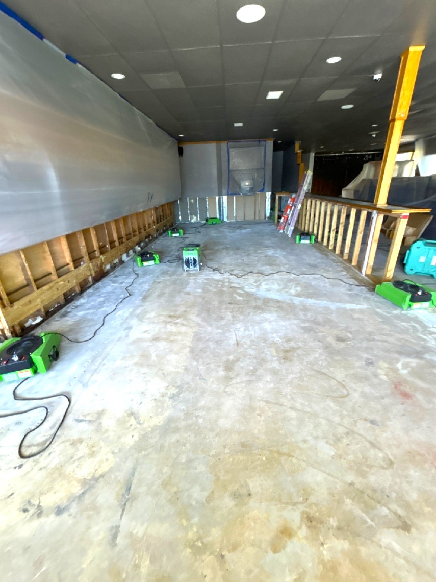 MOLD-DAMAGE _ FIRE-DAMAGE _ SMOKE-DAMAGE _ WATER-DAMAGE _ RESTORATION _ MITIGATION _ REMEDIATION _ 31 Sweet Home Project