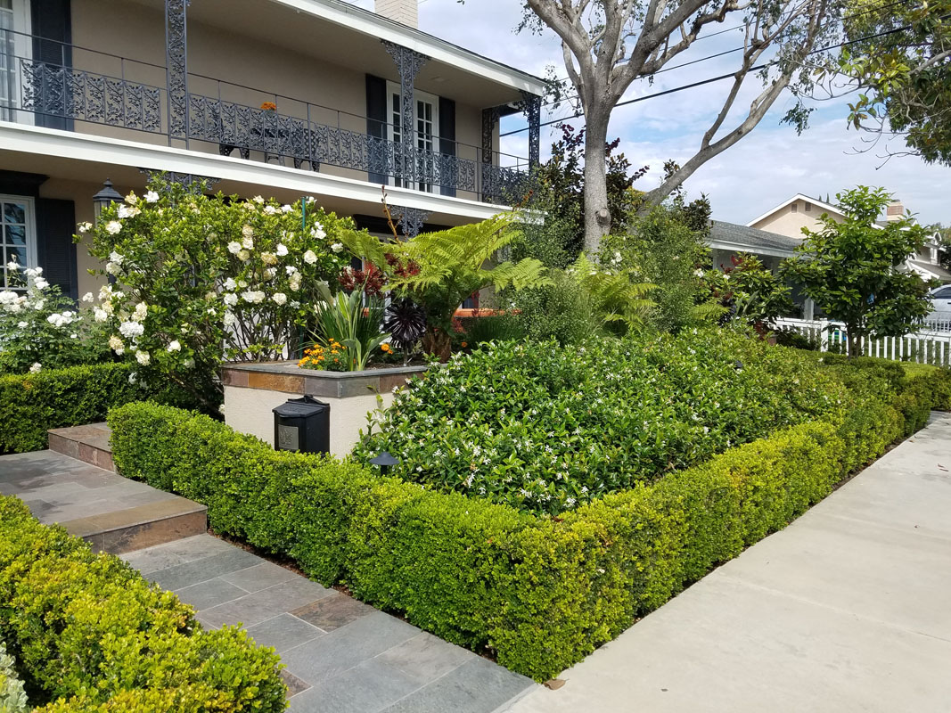 20160618_160659 Harmony Landscape Designs